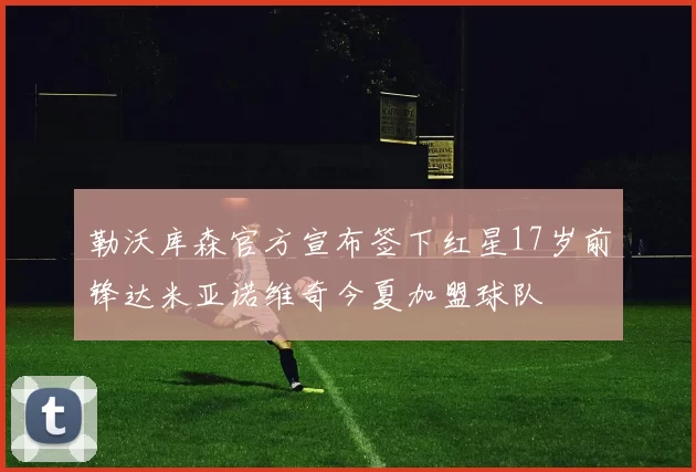 勒沃库森官方宣布签下红星17岁前锋达米亚诺维奇今夏加盟球队